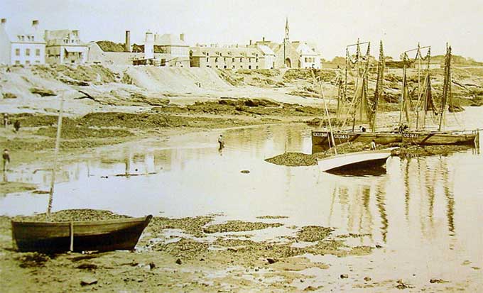 Le mle Bougainville