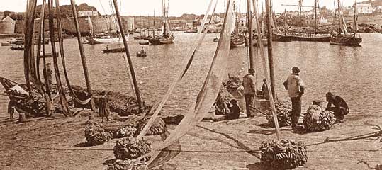 Lièges des filets à sardines