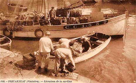 Arrive de sardines