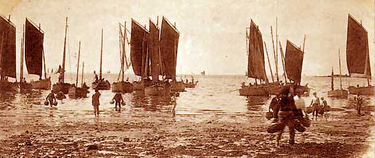 Arrivée de la sardine au port de La Croix