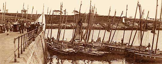 Sardiniers  Concarneau