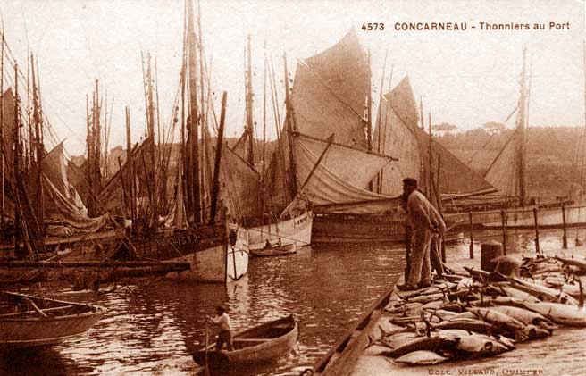 Thoniers concarnois